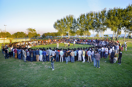 Istanbul, Turkey - October 2, 2016: Central Asian Turkmen wrestling. in Zeytinburnu district of Istanbul, Turkmen wrestling sports events held in the coastal meadows. Turkmen, Uzbek, Afghan, Turkish, Turkmenistan, Kazakhstan, Turkey and other Central Asiaのeditorial素材