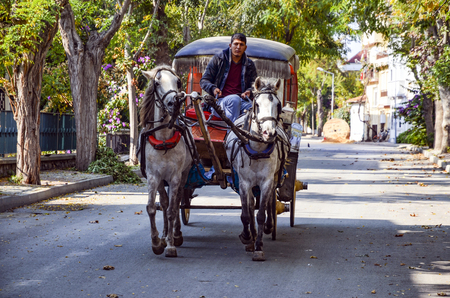 Istanbul, Turkey - October 30, 2016: Phaeton Buyukada. Horse carriage. The symbol of the Islands is the transportation vehicle phaetons. Adalar in Marmara Sea near Istanbul in Buyukada (meaning Big Island in Turkish). This is a neighborhood in the Istanbuのeditorial素材