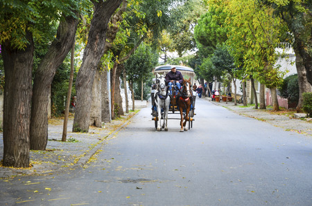 Istanbul, Turkey - October 30, 2016: Phaeton Buyukada. Horse carriage. The symbol of the Islands is the transportation vehicle phaetons. Adalar in Marmara Sea near Istanbul in Buyukada (meaning Big Island in Turkish). This is a neighborhood in the Istanbuのeditorial素材