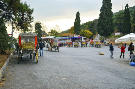 Istanbul, Turkey - October 30, 2016: In the fall Buyukada Phaeton. Horse Carriage. 
The symbol of the Islands is the transportation vehicle phaetons. Adalar in Marmara Sea near Istanbul in Buyukada (meaning Big Island in Turkish). This is a neighborhood iのeditorial素材