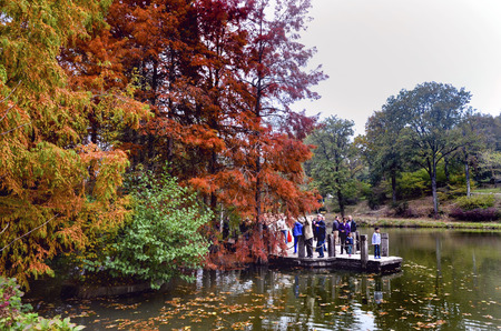 Istanbul, Turkey - November 03, 2013: Ataturk Arboretum is an arboretum in Bahcekoy, Sariyer, Istanbul Province. Autumn trees around lake. Fall trees reflected in lake. Autumnal scene with yellow, orange and red leaves on trees.のeditorial素材