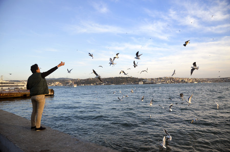 Istanbul, Turkey - February 2, 2014: Sea of Marmara, the Bosphorus The city of Besiktas in Istanbul, sunset on the beach seagulls food-giving a man.のeditorial素材