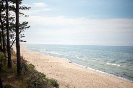 The coastline of the Baltic Sea in northern Poland features stunning sandy beaches, picturesque dunes, and lush greenery, offering a serene escape for nature lovers and beachgoers.の写真素材