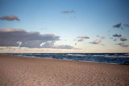 The coastline of the Baltic Sea in northern Poland features stunning sandy beaches, picturesque dunes, and lush greenery, offering a serene escape for nature lovers and beachgoers.の写真素材