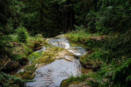 A small river stream flowing over the top of Kamieniczka waterfall, surrounded by rocks and lush greenery, Szklarska Poreba, Polandの写真素材