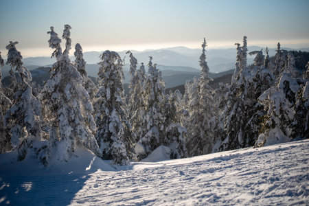 Pilsko Ski Resort, located on the border of Slovenia and Poland, offering scenic slopes and views