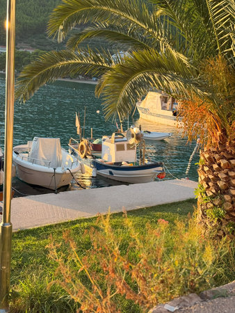 Palm Tree and Boats in Sunset Glow â€“ Drvenik Harbor, Croatia