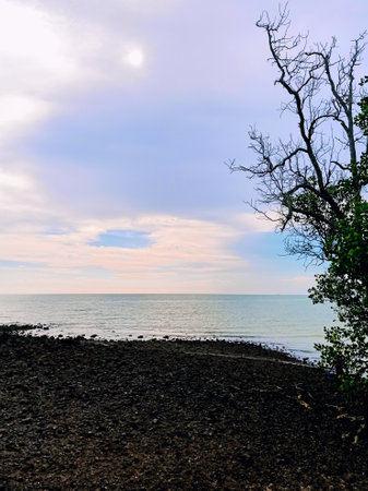 Sea viewの写真素材