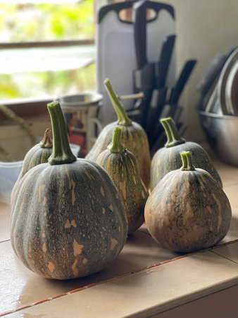 Pumpkins on the counter in the kitchen.