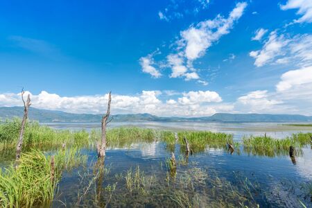 Dali Erhai Haitang Parkの写真素材