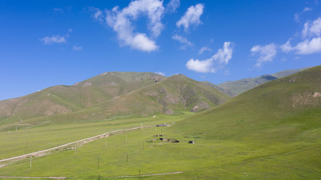 Summer scenery of Qilian Mountain in Qinghai