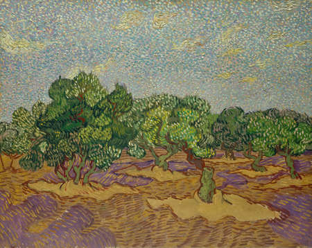 Van Gogh, Olive Trees is an oil painting on canvas 1889 - by Dutch painter Vincent Willem van Gogh (1853â1890).のeditorial素材