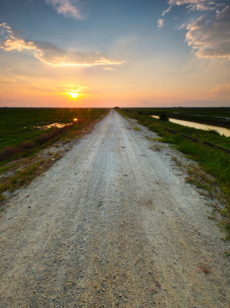 The Road At Paddy Field.の写真素材