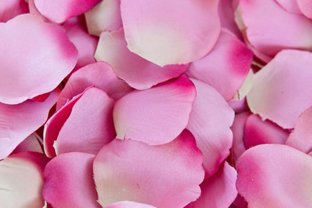 Artificial rose petals