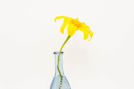 vase with flower isolatedの写真素材