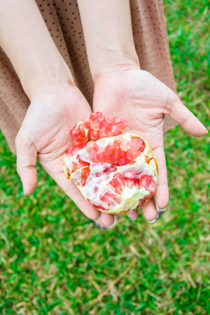 close up red pomegranate fruit in hands of woman standing on the groundの写真素材
