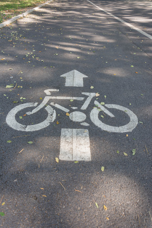 Bicycle lane road sign painted on the asphalt road with falling leaves under shadow of tree in a small park in autumnの写真素材