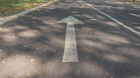 white arrow with falling leaves on road in parks outdoor  under shadow of tree in autumnの写真素材