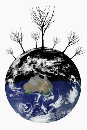 global warming with loss leaf tree on white background . Elements of this image furnished by NASAの写真素材