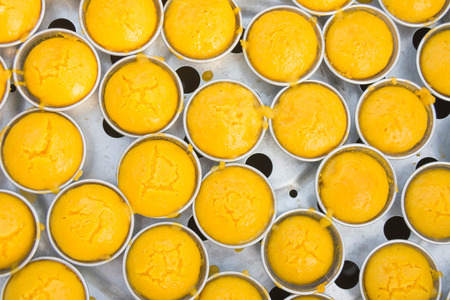 Thai tradition toddy plam in stream potの写真素材