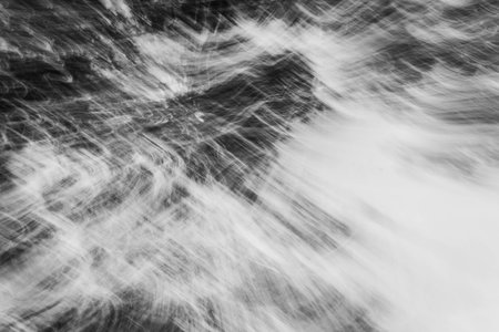 Abstract motion blur of tree background in white tone