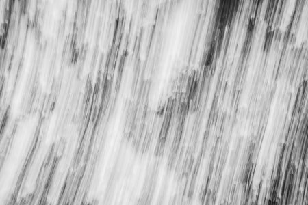 Abstract motion blur of tree background in white tone