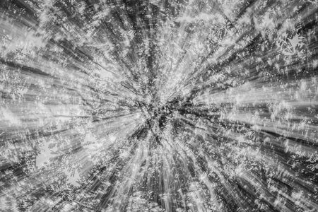 Abstract motion blur of tree background in white tone