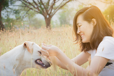 woman playing with friendly dog on grass field with big tree and sunset backgroundの写真素材