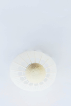 Shuttlecock on white backgroundの写真素材