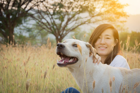woman playing with friendly dog on grass field with big tree and sunset backgroundの写真素材
