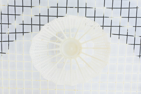 Shuttlecock and racket on white backgroundの写真素材