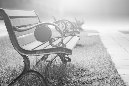 empty bench in park with light from sun in white toneの写真素材