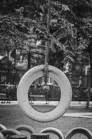car used tire as a swing on tree in park in white toneの写真素材