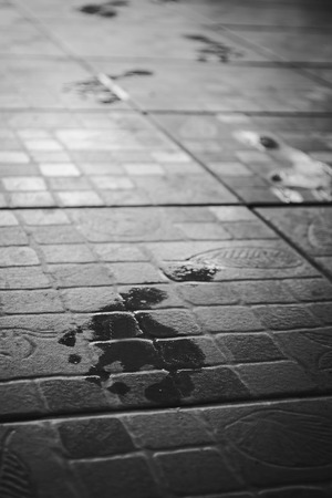 wet footprints on ground in white tone with shadow edgeの写真素材