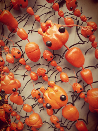 colorful ants walking in line on wallantの写真素材