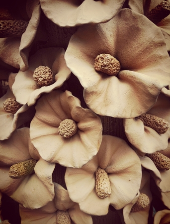 flower stucco background with shadow edgeの写真素材