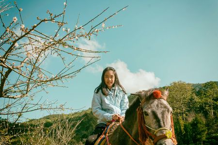 Brown pony with saddle standing in park with natural background in vintage styleの写真素材