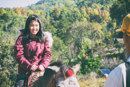Brown pony with saddle standing in park with natural background in vintage styleの写真素材