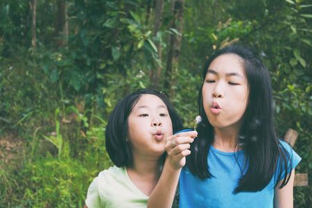 kids blowing grass flower and playing in the forestの写真素材