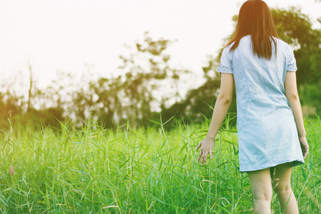 Woman enjoy grass flower in meadow at sunsetの写真素材