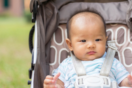 portrait of baby sit on stroller carriage in parkの写真素材