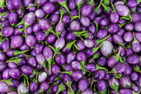 purple color of eggplants selling at marketの写真素材