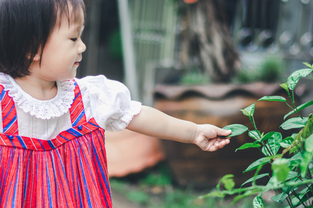 Adorable Asian Girl enjoy garden at homeの写真素材