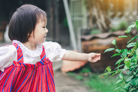 Adorable Asian Girl enjoy garden at homeの写真素材
