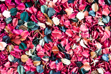 colorful of Dried floral petals in square frameの写真素材