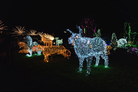 Many kind of animal shape lighting decorated in Christmas Festival at Park of Local Templeの写真素材