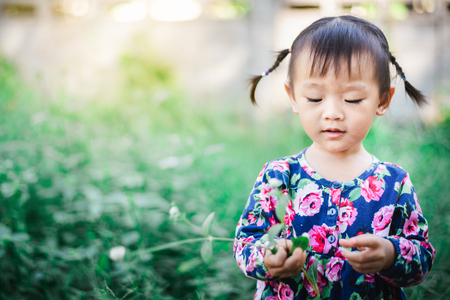 Adorable Asian Girl enjoy with grass and flower in garden outdoorの写真素材