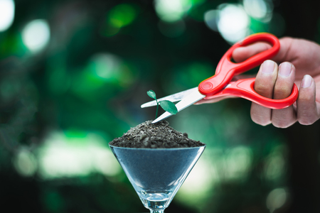 Hand holding scissor to cut the sprout, destroy nature conceptの写真素材