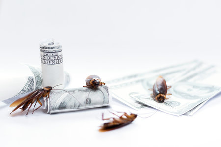 dead cockroach lay on floor and bank note, economy crisis concept