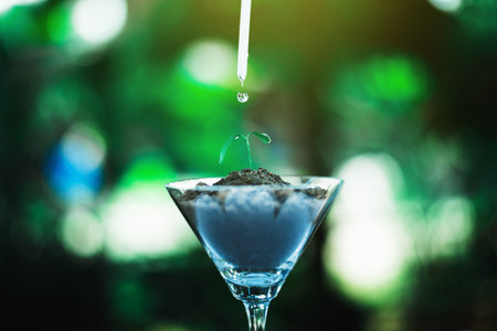 sprout growing in glass with water drop, nature and care concept
